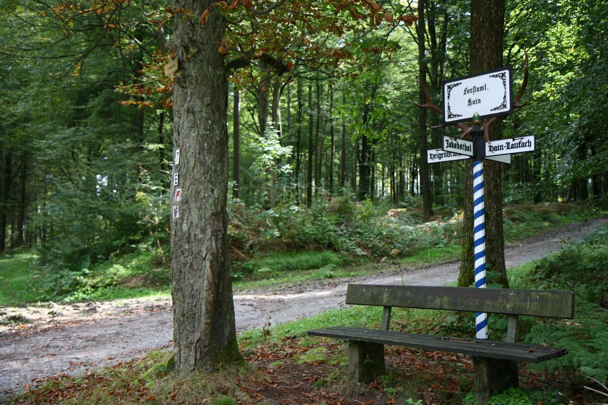 Flair Hotel Hochspessart Heigenbrücken Kültér fotó